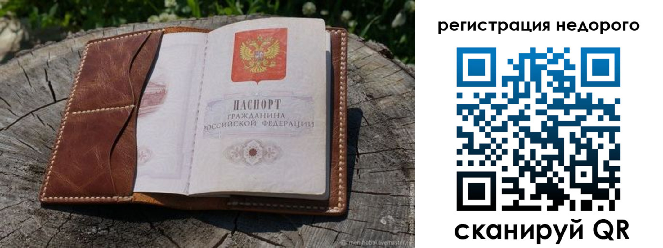 прописка для школы в Куртамыше